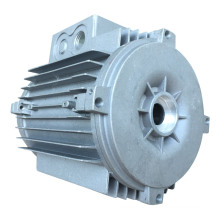 Motor Parts Professional Die Casting ISO Ts Die Casting